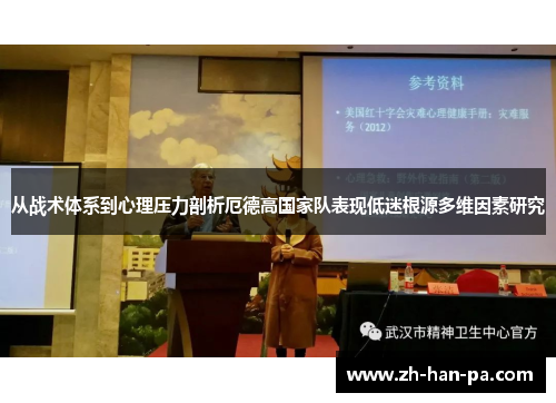 从战术体系到心理压力剖析厄德高国家队表现低迷根源多维因素研究