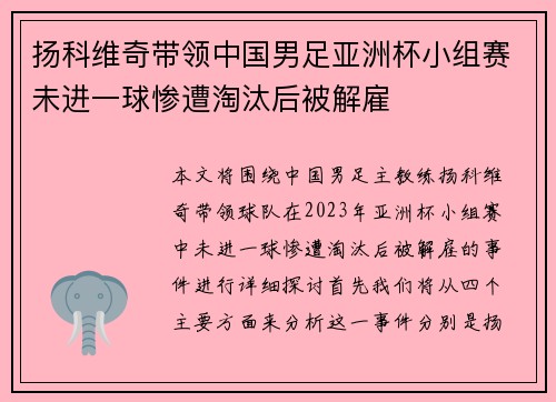 扬科维奇带领中国男足亚洲杯小组赛未进一球惨遭淘汰后被解雇